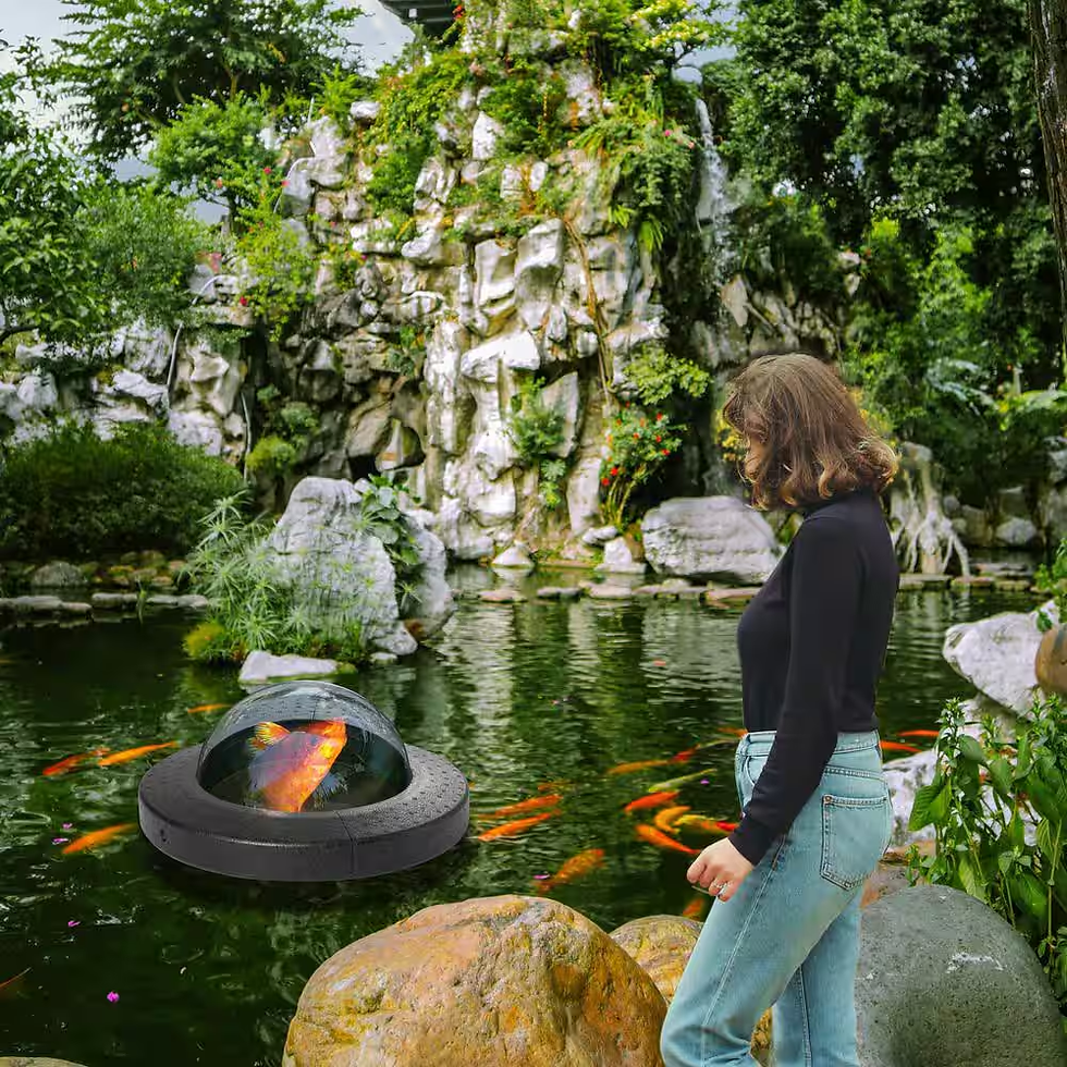 Thumbnail: Floating Pond Fish Dome – Clear Viewing Bubble for Koi & Fish Observation