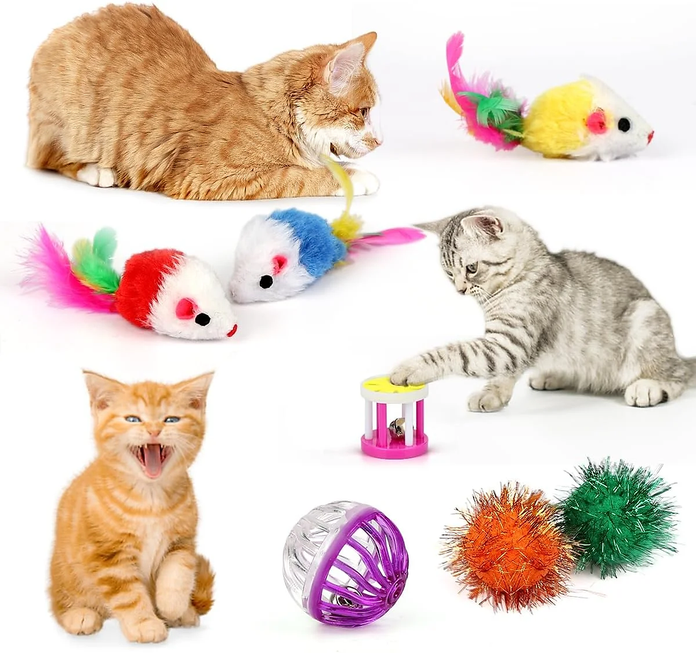 Thumbnail: TAIMASI 32PCS Cat Toys Kit with 3-Way Rainbow Tunnel