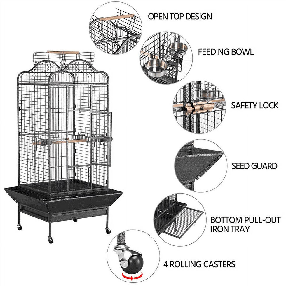 Thumbnail: 63 in Large Rolling Parrot Cage with Stand – Open-Top Design