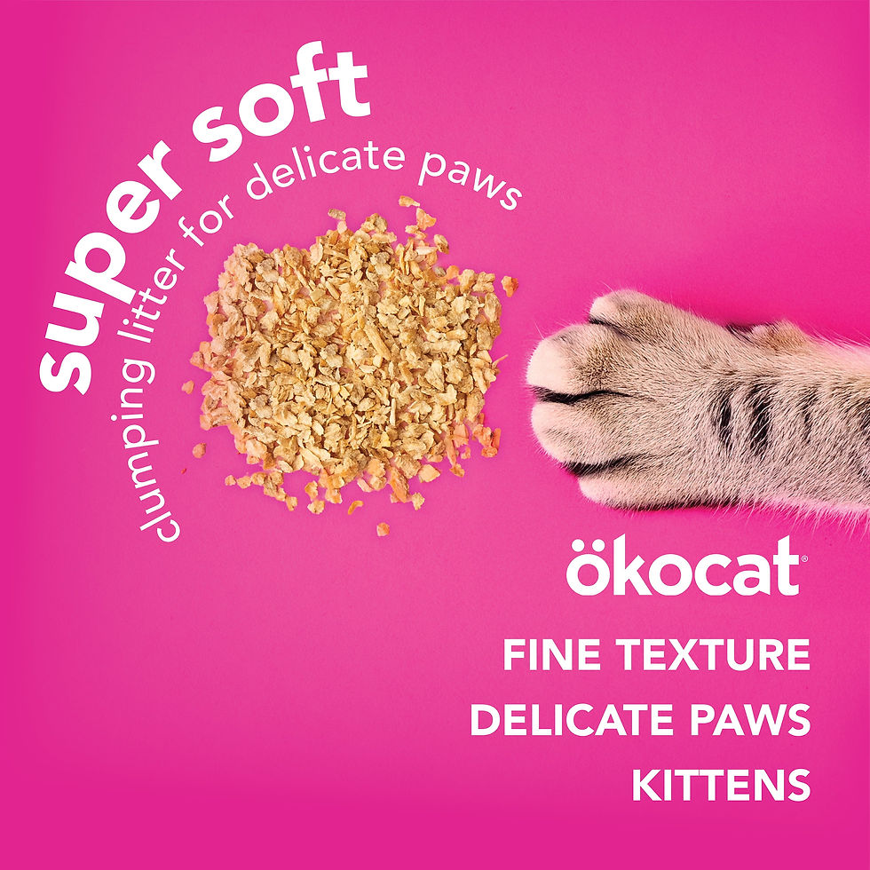 Thumbnail: ökocat Super Soft Natural Wood Clumping Cat Litter 10.6 lb