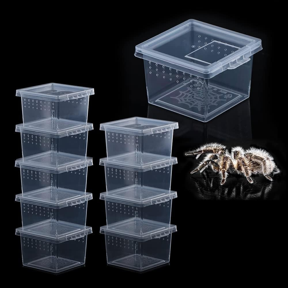 10 Pack Acrylic Spider Insect Mini Terrarium Breeding Hatching Containers