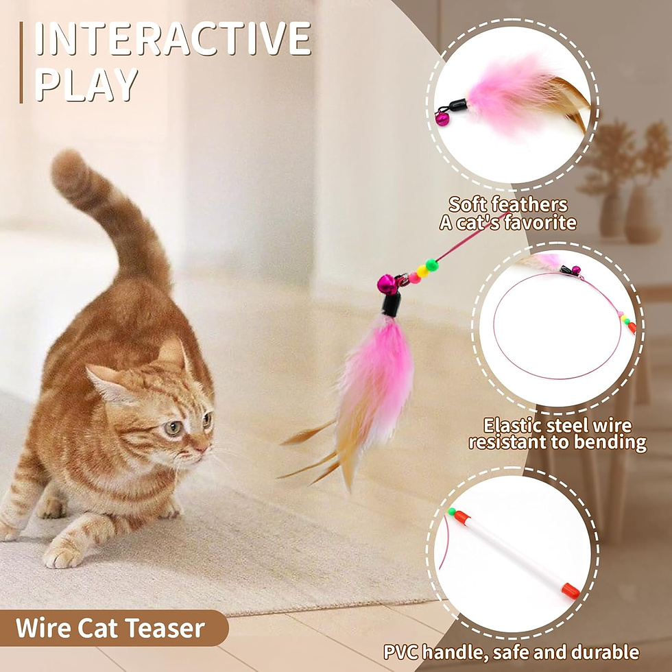 Thumbnail: 25PCS Cat Toys Kit with 45in Rainbow Tunnel & Spring Toys