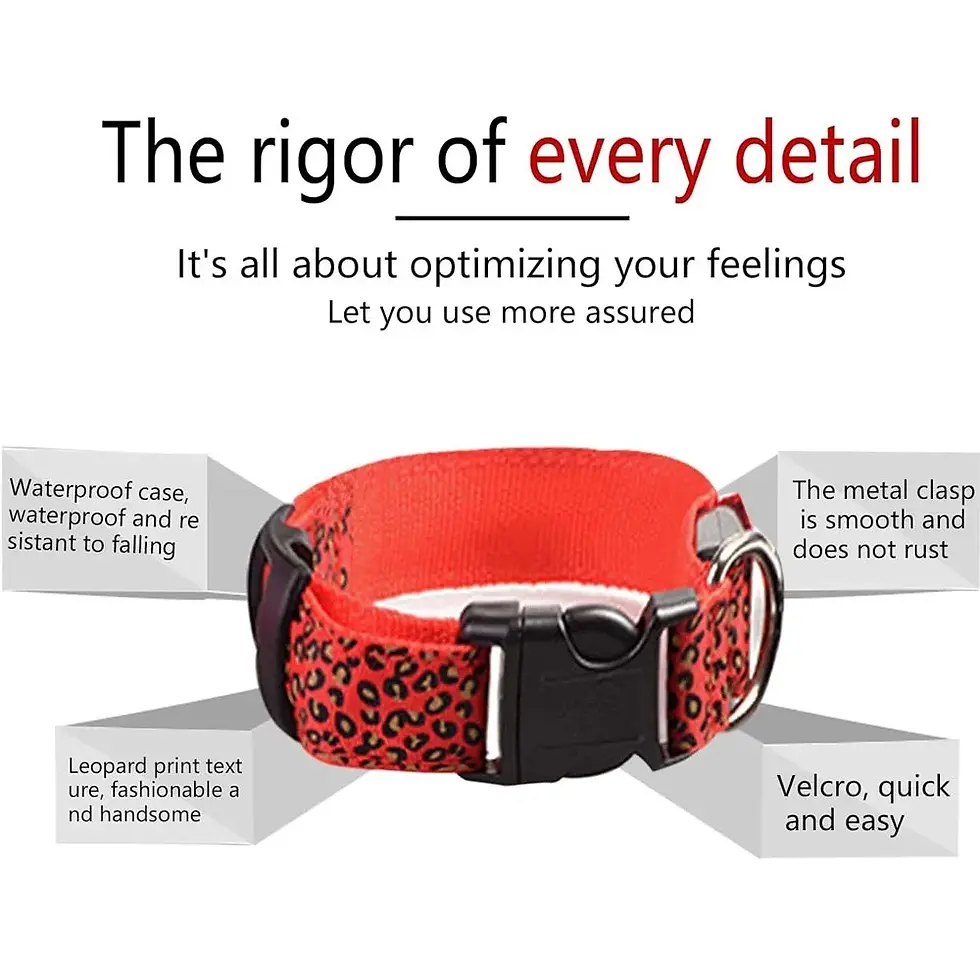 Thumbnail: LED Light-Up Dog Collar & Harness Set – Battery Powered Safety Collar (S–XL)
