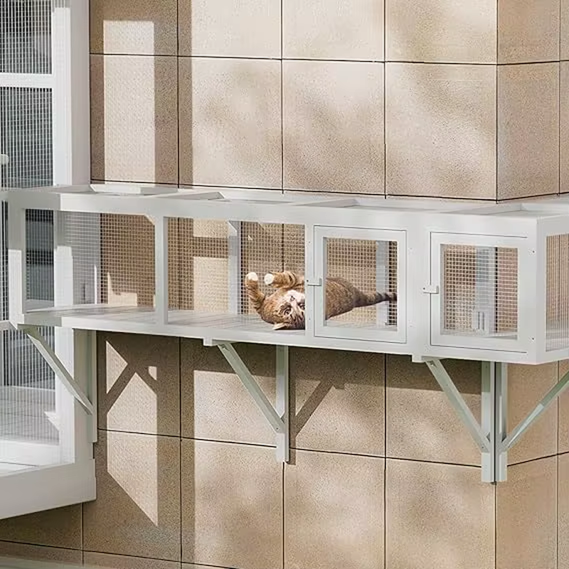 Expandable Cat Tunnel & Catio Window Box for Indoor-Outdoor Access