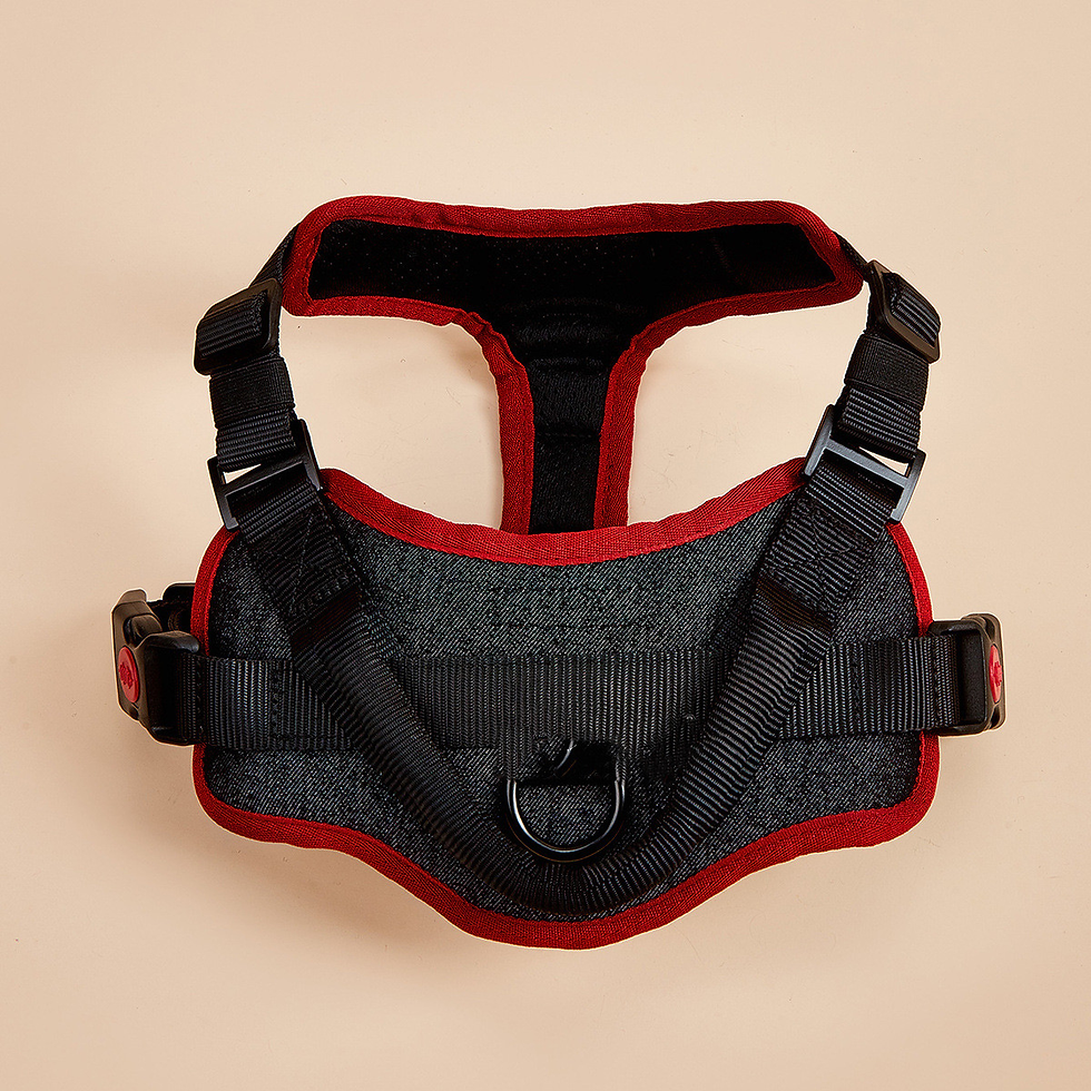 Thumbnail: Adjustable Nylon Chest Strap Dog Harness – Lightweight Secure Fit S–XL