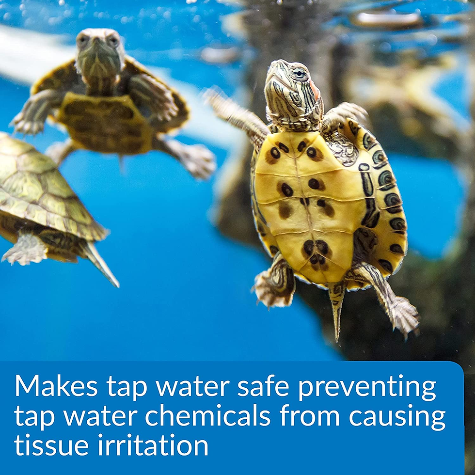 Thumbnail: API® Turtle Water Conditioner – 8 oz Aquatic Reptile Water Treatment
