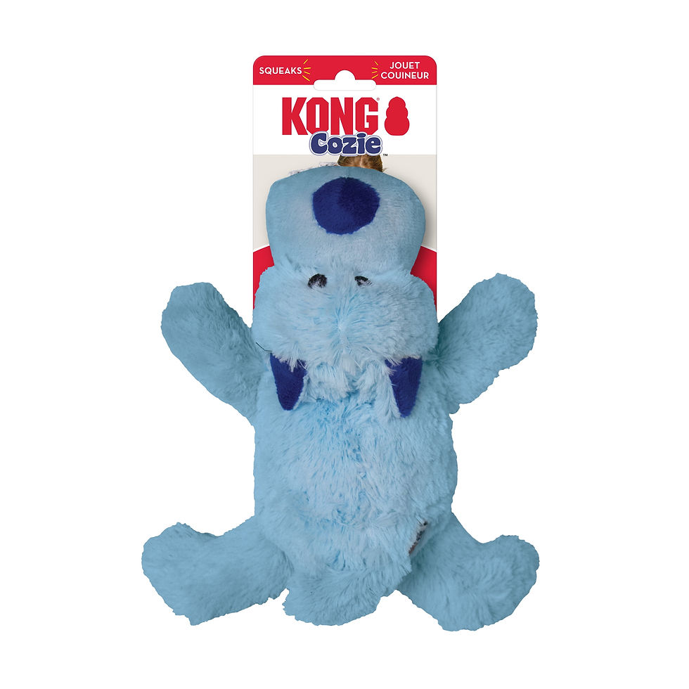 Thumbnail: KONG Cozie Plush Dog Toy with Squeaker – Baily Blue Dog (Medium)