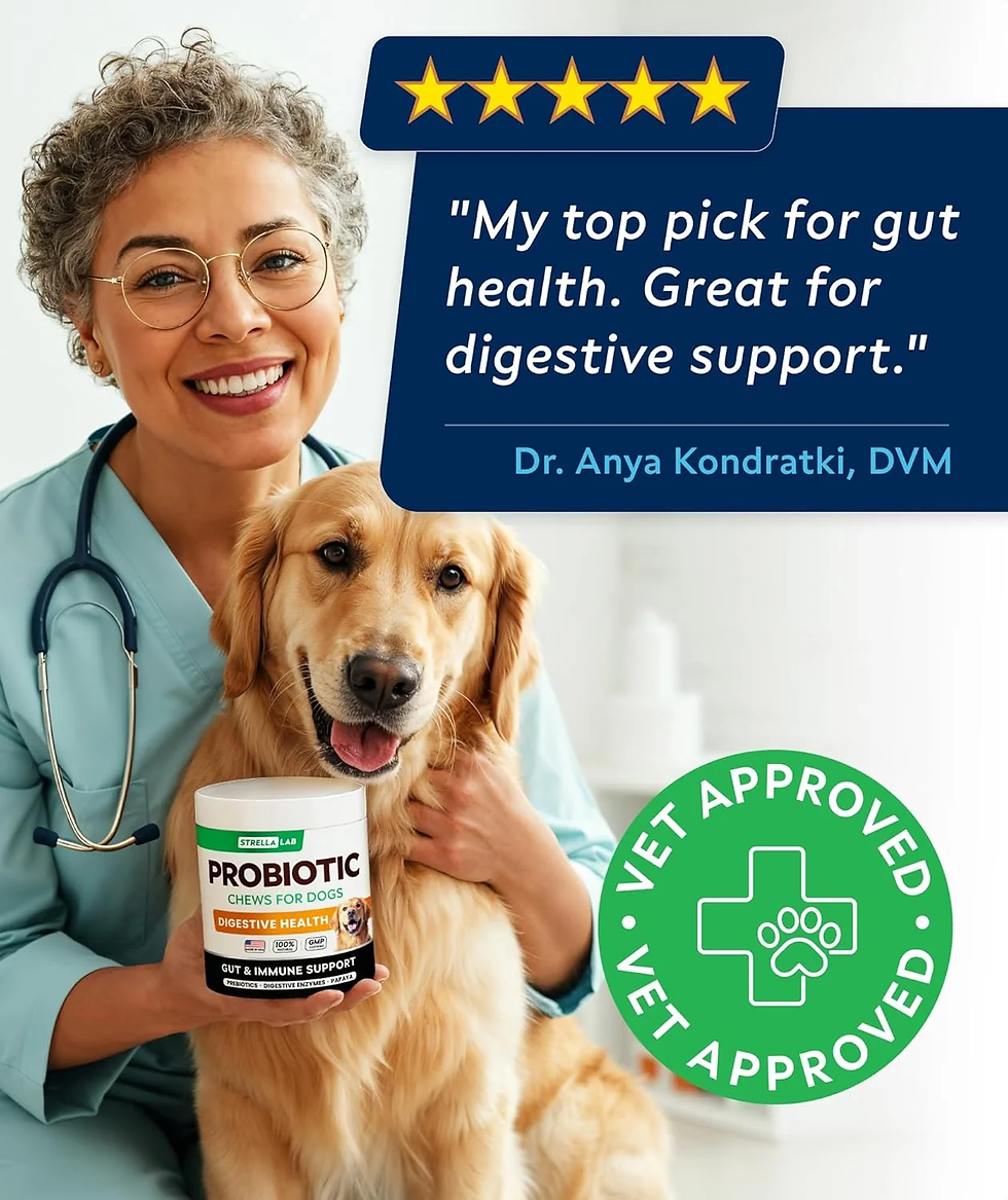 Thumbnail: STRELLA LAB Dog Probiotics Digestive Chews 180 Ct Prebiotics Enzymes