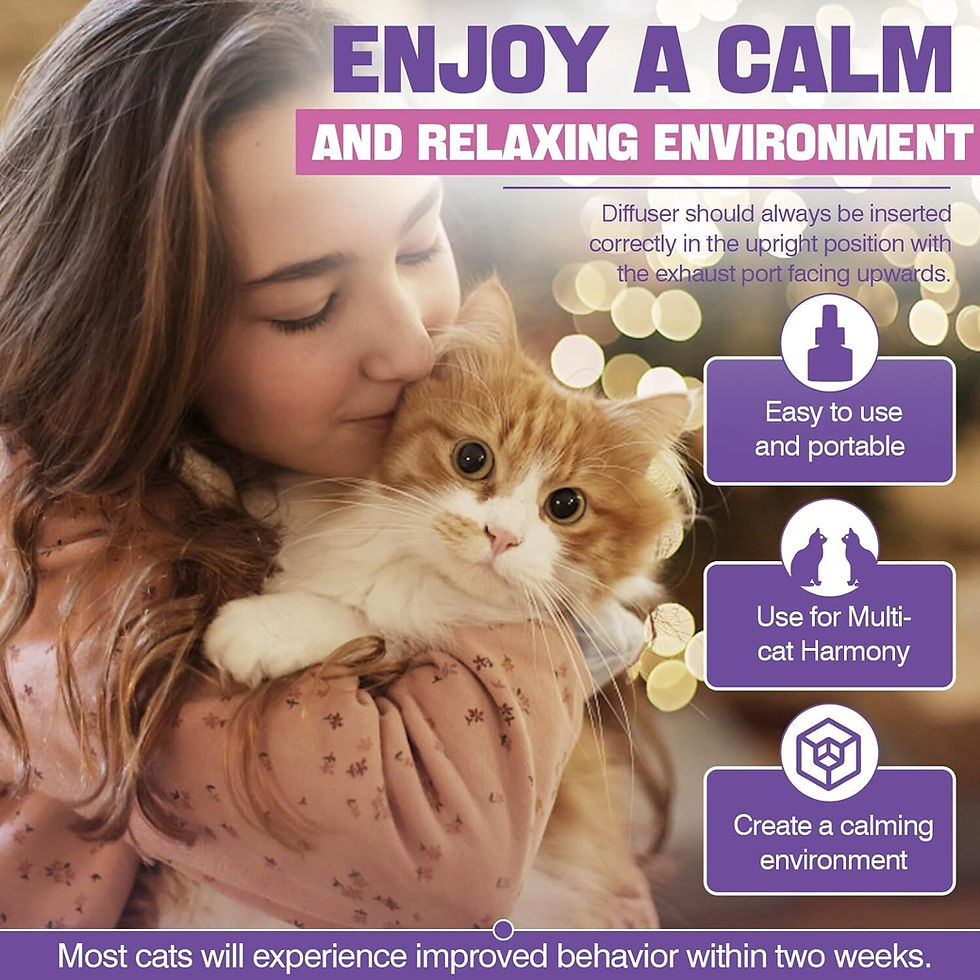 Thumbnail: Cat Pheromone Diffuser Refill 6-Pack – Multi-Cat Stress Relief, 48ml
