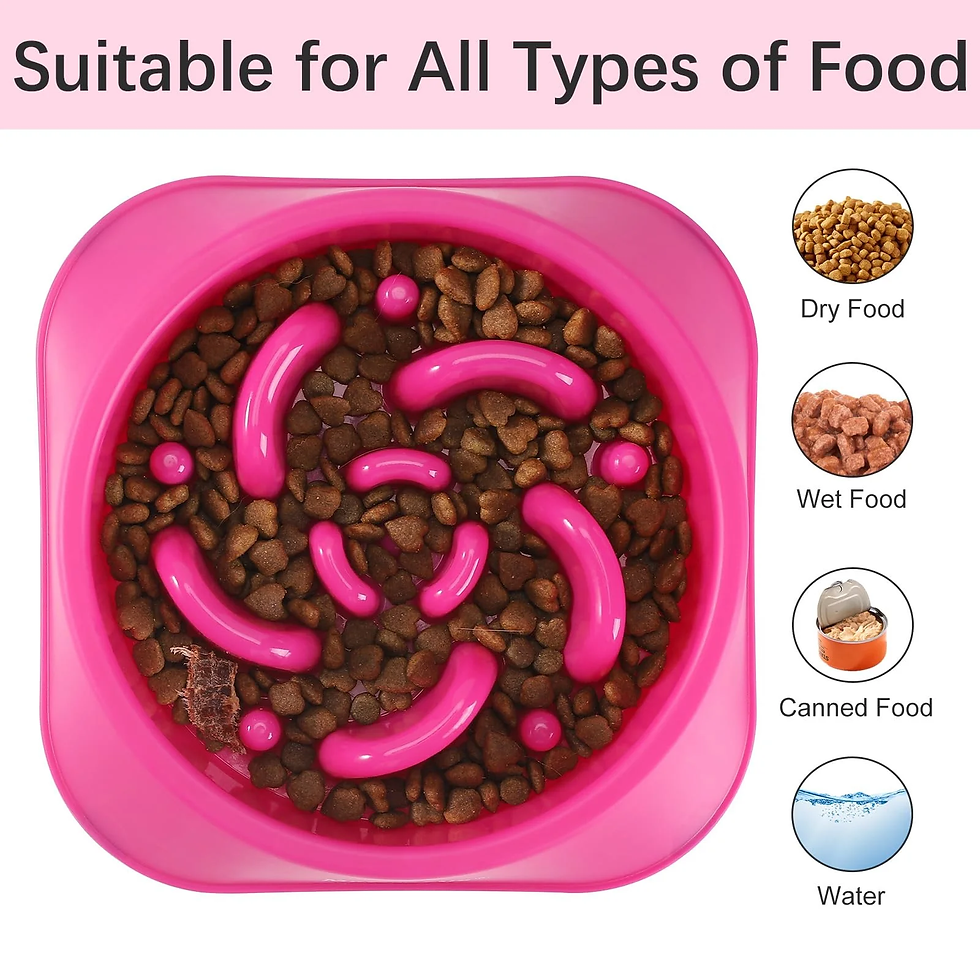 Thumbnail: Mateey Life - Interactive Maze Slow Feeder Dog Bowl – Non-Slip, Dishwasher Safe,