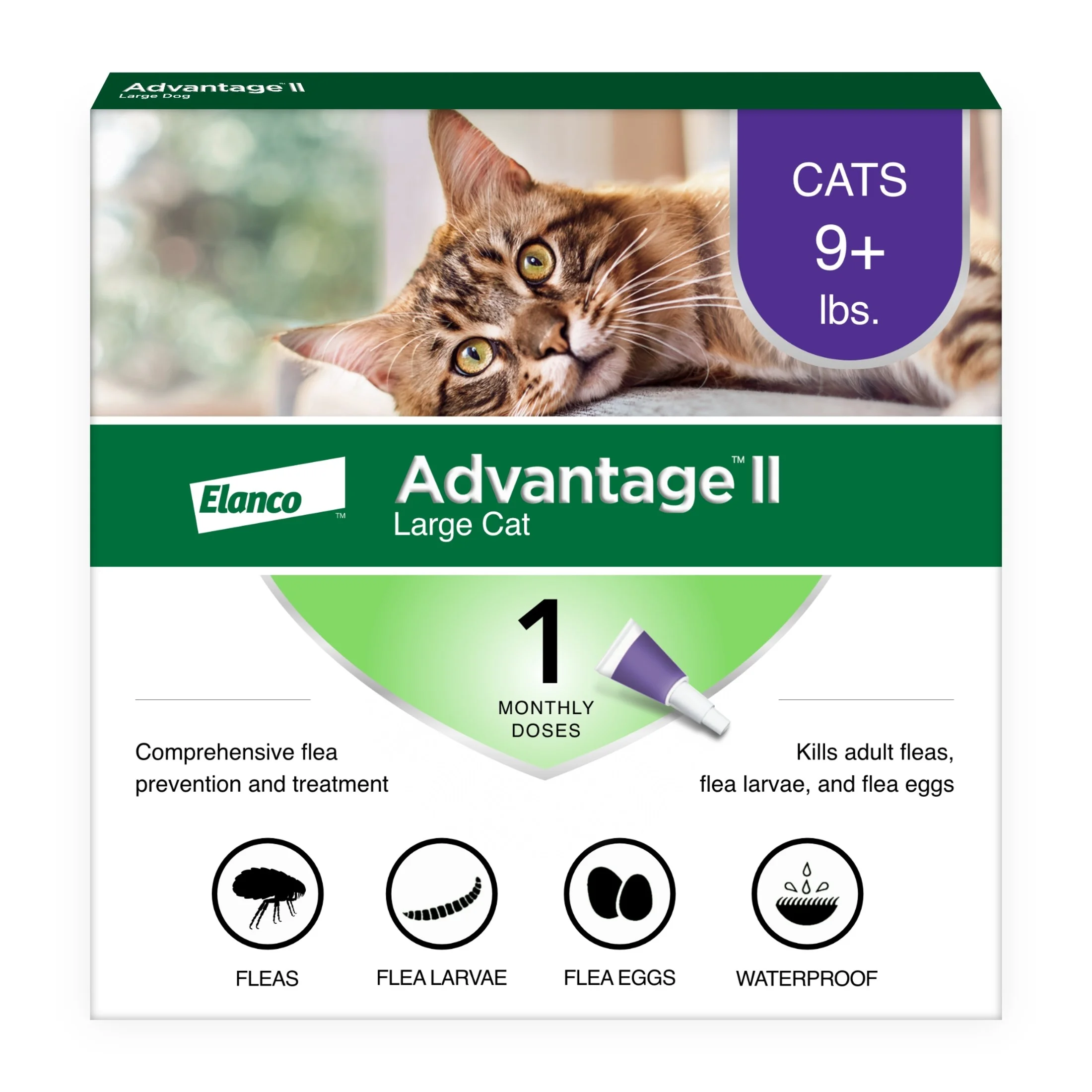 Advantage II Large Cat β Vet-Recommended 1-Month Flea Treatment for Cats