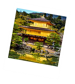 Polaroid2_Mesa de trabajo 1.png