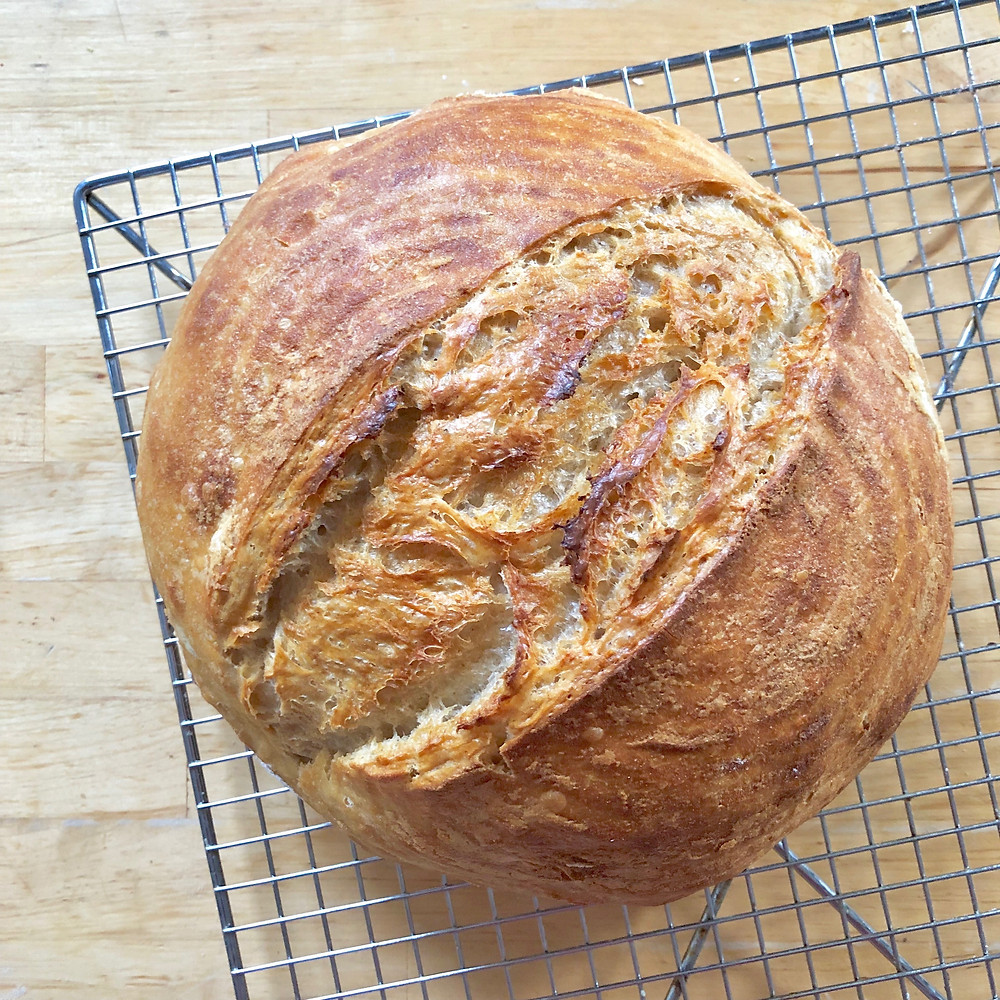 Sour Dough bread, bread thoughts 100 days of pasta
