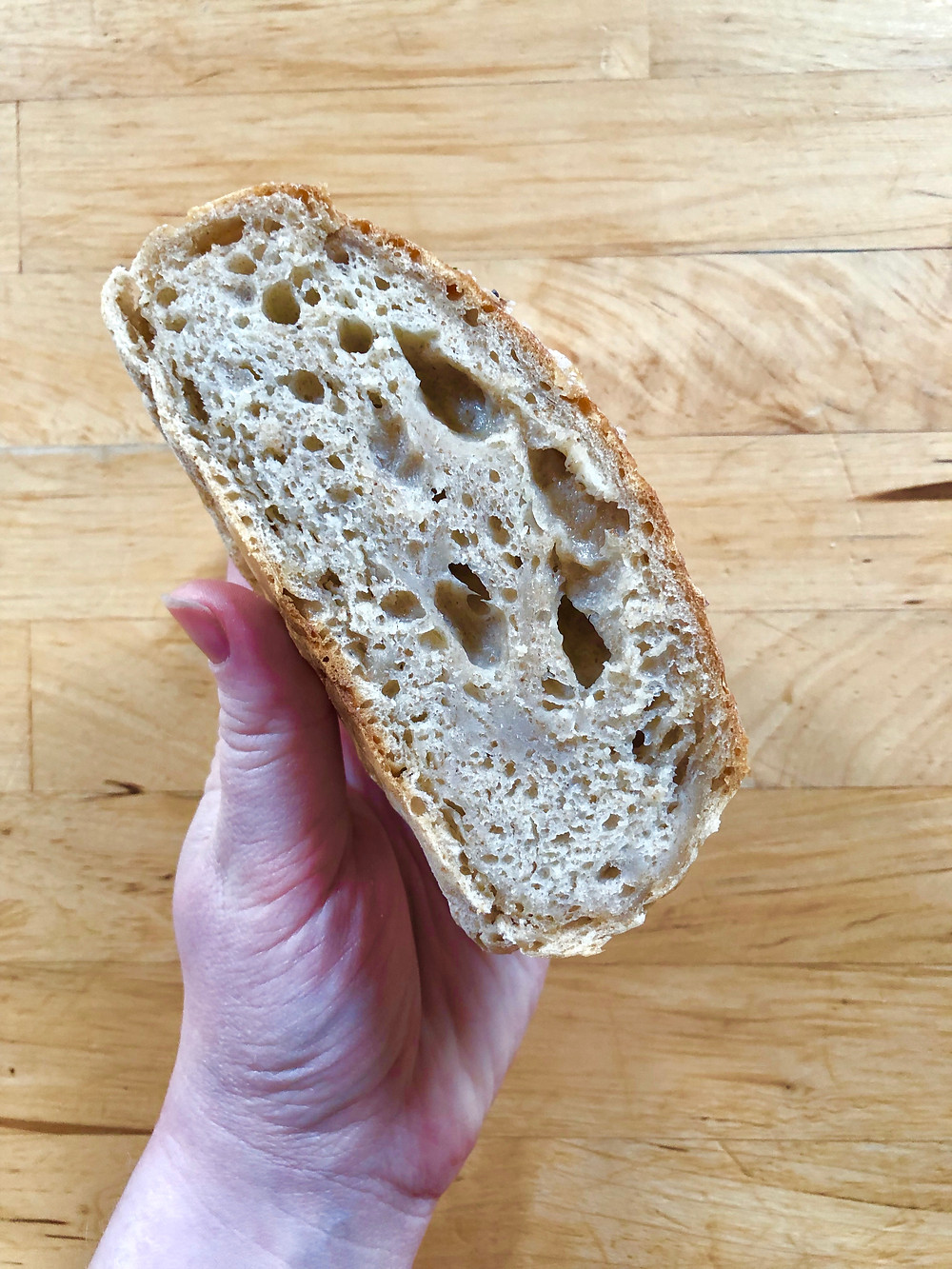 bread made with just levain 100 days of pasta breadthoughts