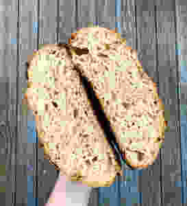Sourdough breadmaking 100days of pasta crumb shot