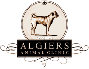 Algiers Animal Clinic Joins Fix A Canine