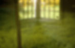 img196.jpg