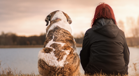 Green Grey One Photo Nature Quote Motivation Facebook Post (20).png