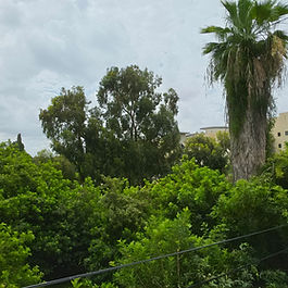 בית קרק ע ייחודי למכירה ברחוב השופטים 52, רמת השרון
