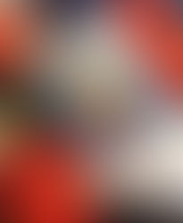 CARTA DA SEMANA - BRÍGIDA  