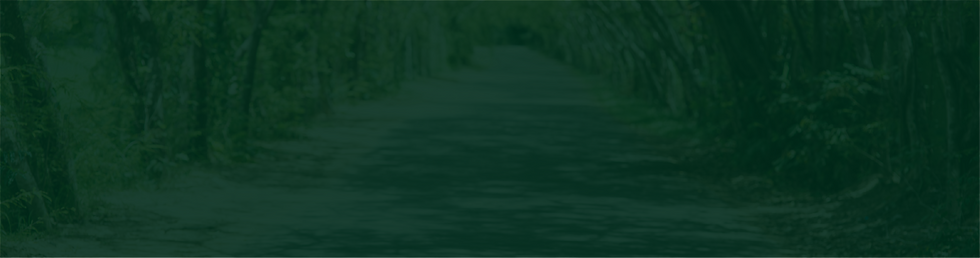 IE CTA.png