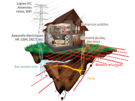 La géobiologie, à quoi ça sert?
