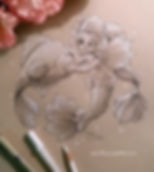Fairy Mermaid