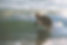R1-06191-013A.JPG