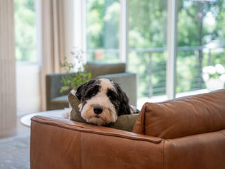 The Advantage of Buying New: Why a Brand-New Bercher Home Beats a Resale