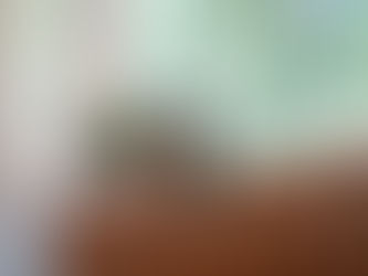 The Advantage of Buying New: Why a Brand-New Bercher Home Beats a Resale