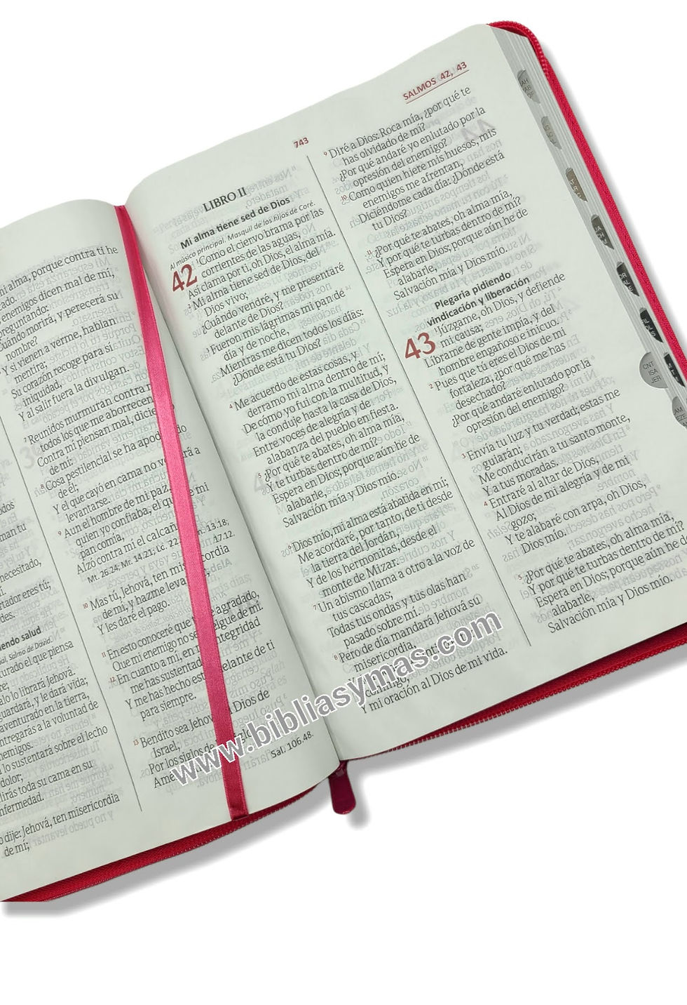 Miniatura: Biblia RVR1960 Letra Gigante Fucsia, Rosa, Flores con Cierre e Indices