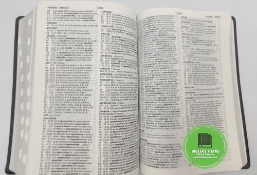 Thumbnail: Biblia Reina Valera 1960 Letra Grande Concordancia Amplia AZUL