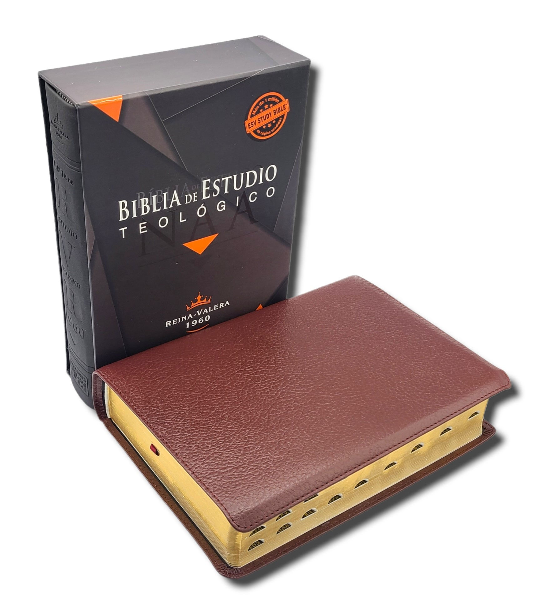 Biblia De Estudio Teologico Reina Valera 1960 Piel Genuina Vino