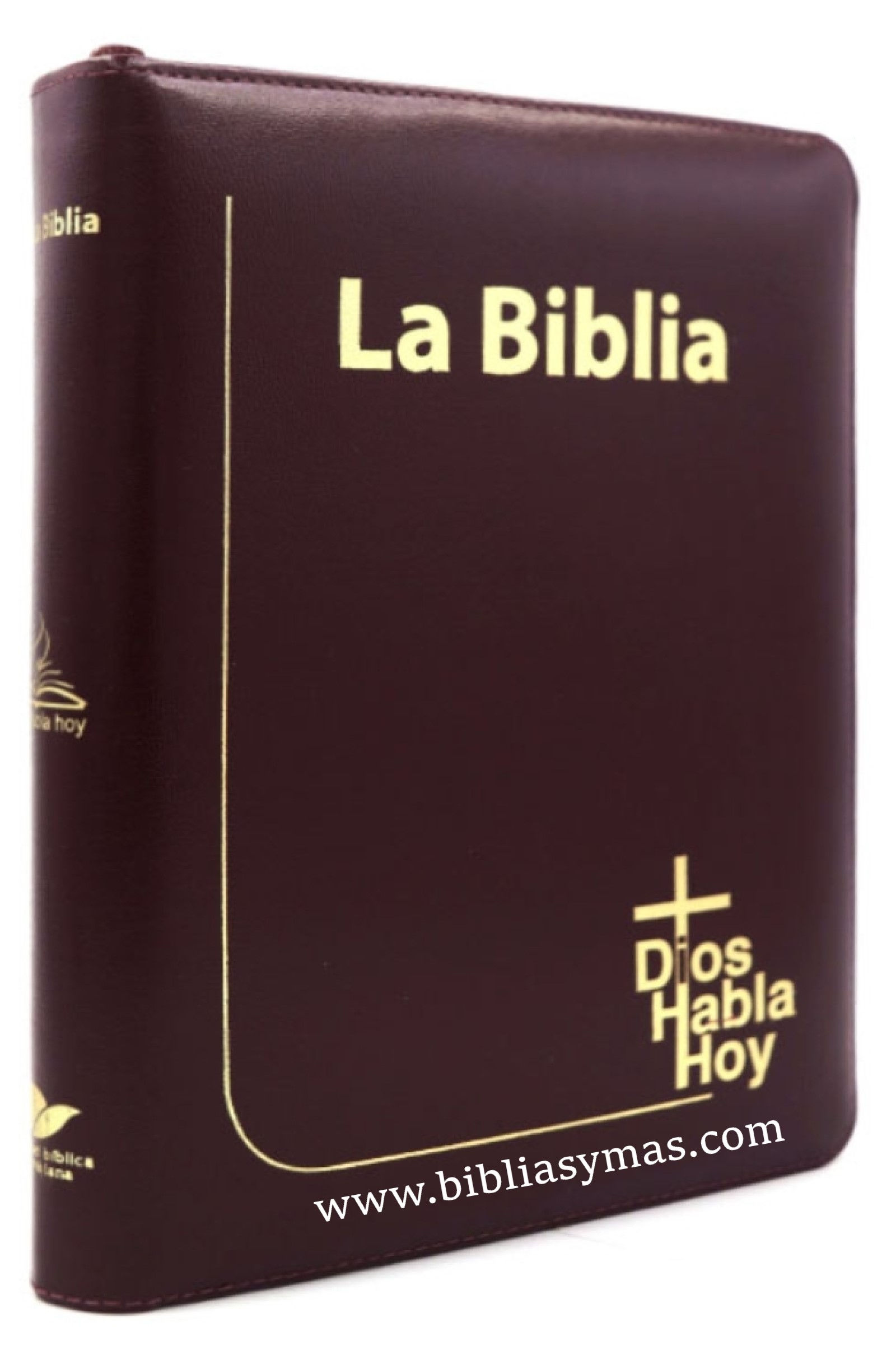 Biblia Dios habla hoy letra gigante Deuterocanonicos Vino con zipper