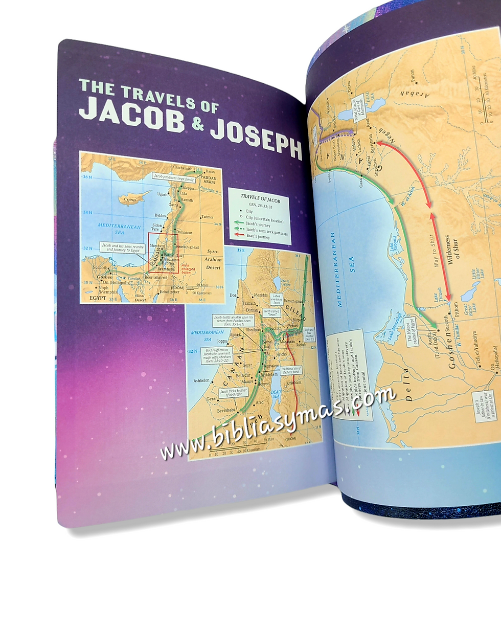 Miniatura: CSB Kids Bible Soft Leather Look, Ocean with Narwhals