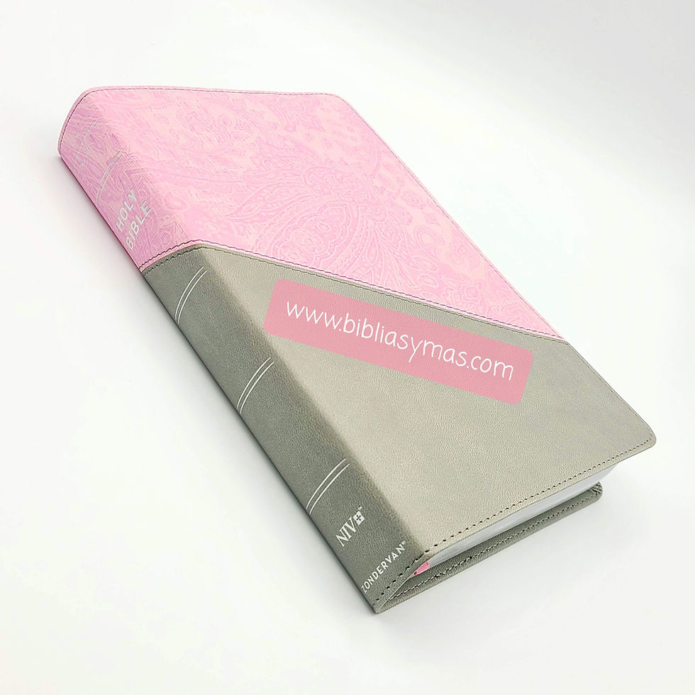 Miniatura: NIV Bible Personal Size Large Print Softleather Gray-Pink