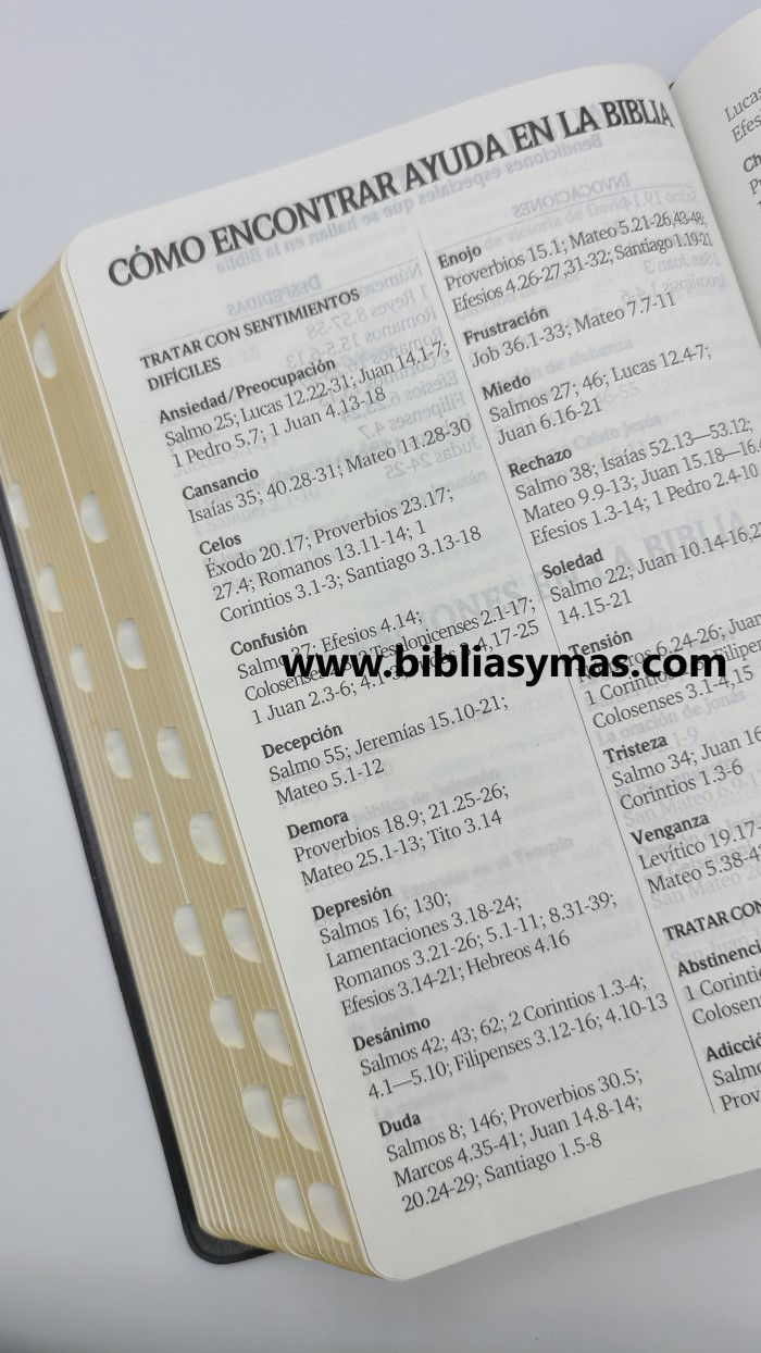 Miniatura: Biblia Reina Valera 1960 Letra Grande Concordancia Amplia