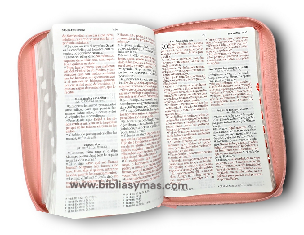 Thumbnail: Biblia RVR1960 Letra Grande Tam. Manual Imitacion Piel Rosa Cierre e Indice