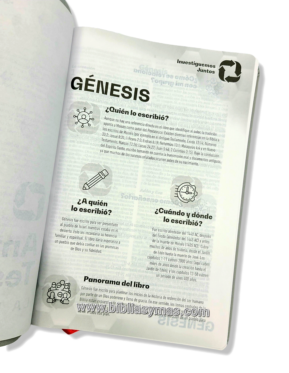 Thumbnail: Nueva Biblia Viva NBV para Grupos Pequeños Imitacion Gris