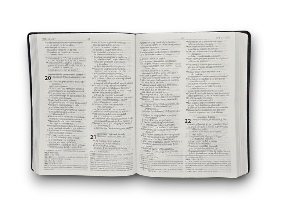 Miniatura: Biblia  RV1995 De Estudio con Herramientas de Exegesis Imit. Negro