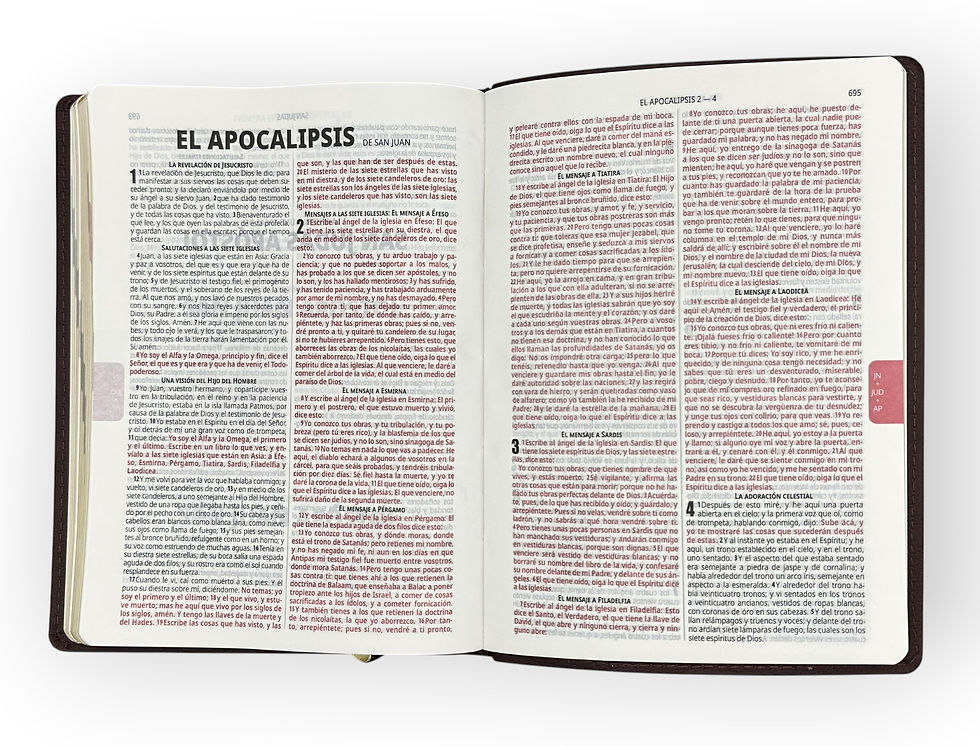Thumbnail: Biblia 1960 Ultrafina L. Mediana 10pts fuente de bendiciones Piel Cafe