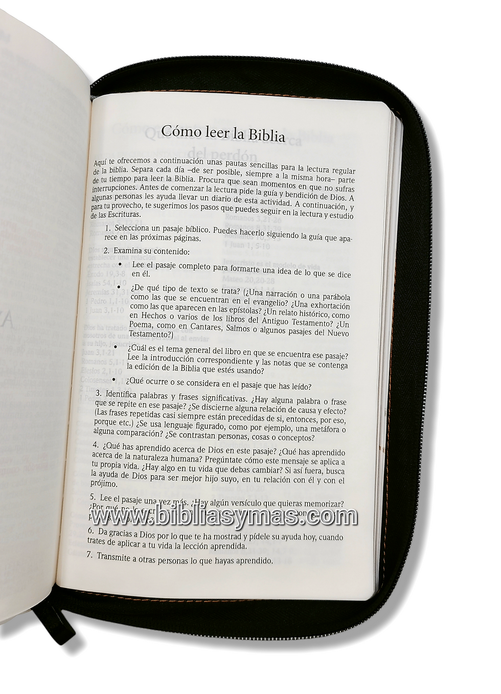 Thumbnail: Biblia RVR1960 Letra Grande, Imitación Piel Gris Borgoña, Cierre e Indices