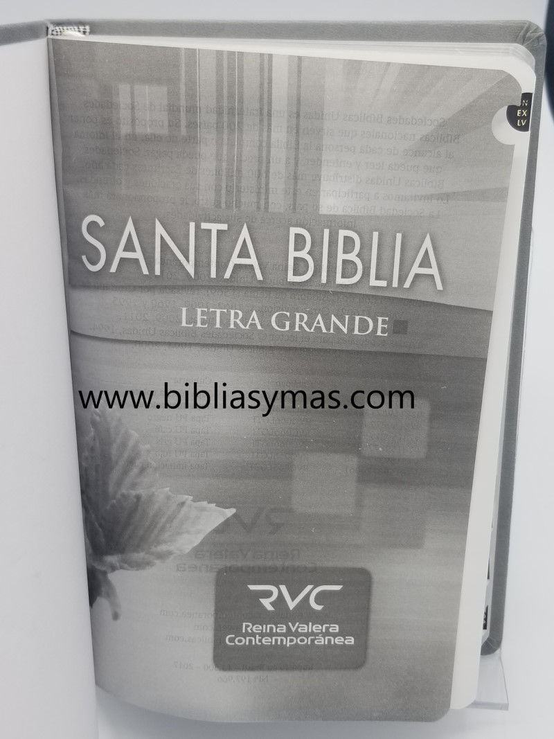 Miniatura: Biblia Letra Grande Reina Valera Contemporanea Gris RVC