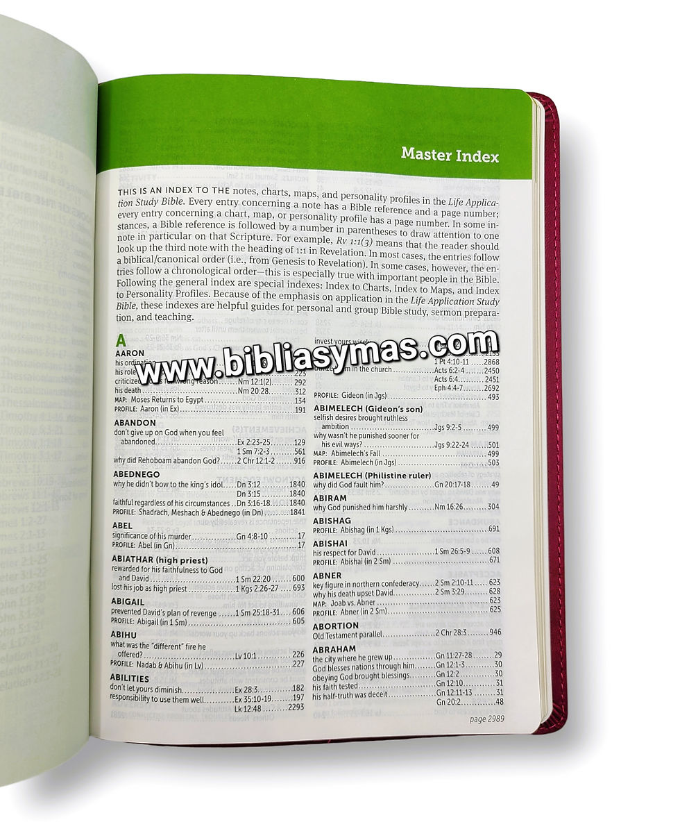 Miniatura: NLT Large Print Life Application Study Bible Soft leather look Berry