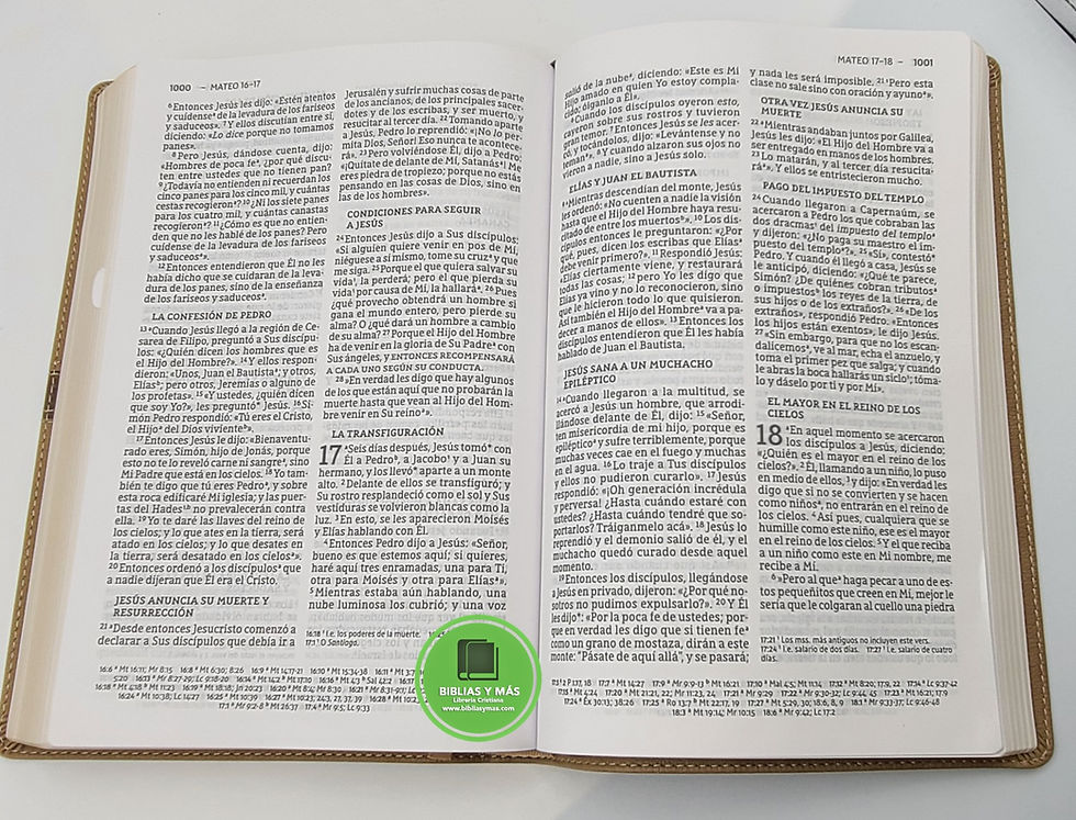 Thumbnail: B. NBLA del Ministro Letra Gigante Beige