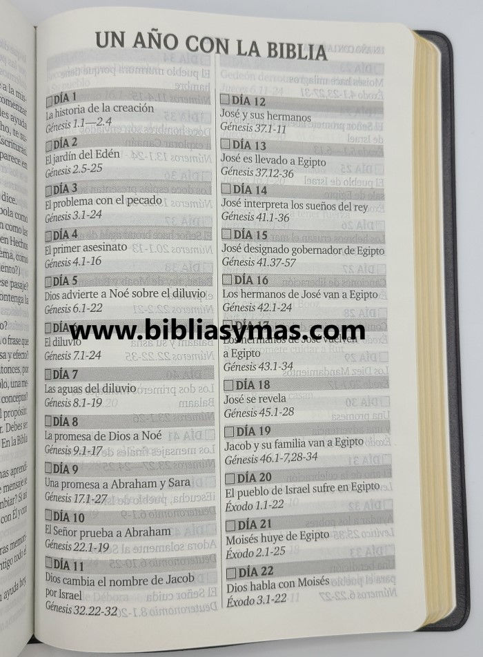 Miniatura: Biblia Reina Valera 1960 Letra Grande Concordancia Amplia