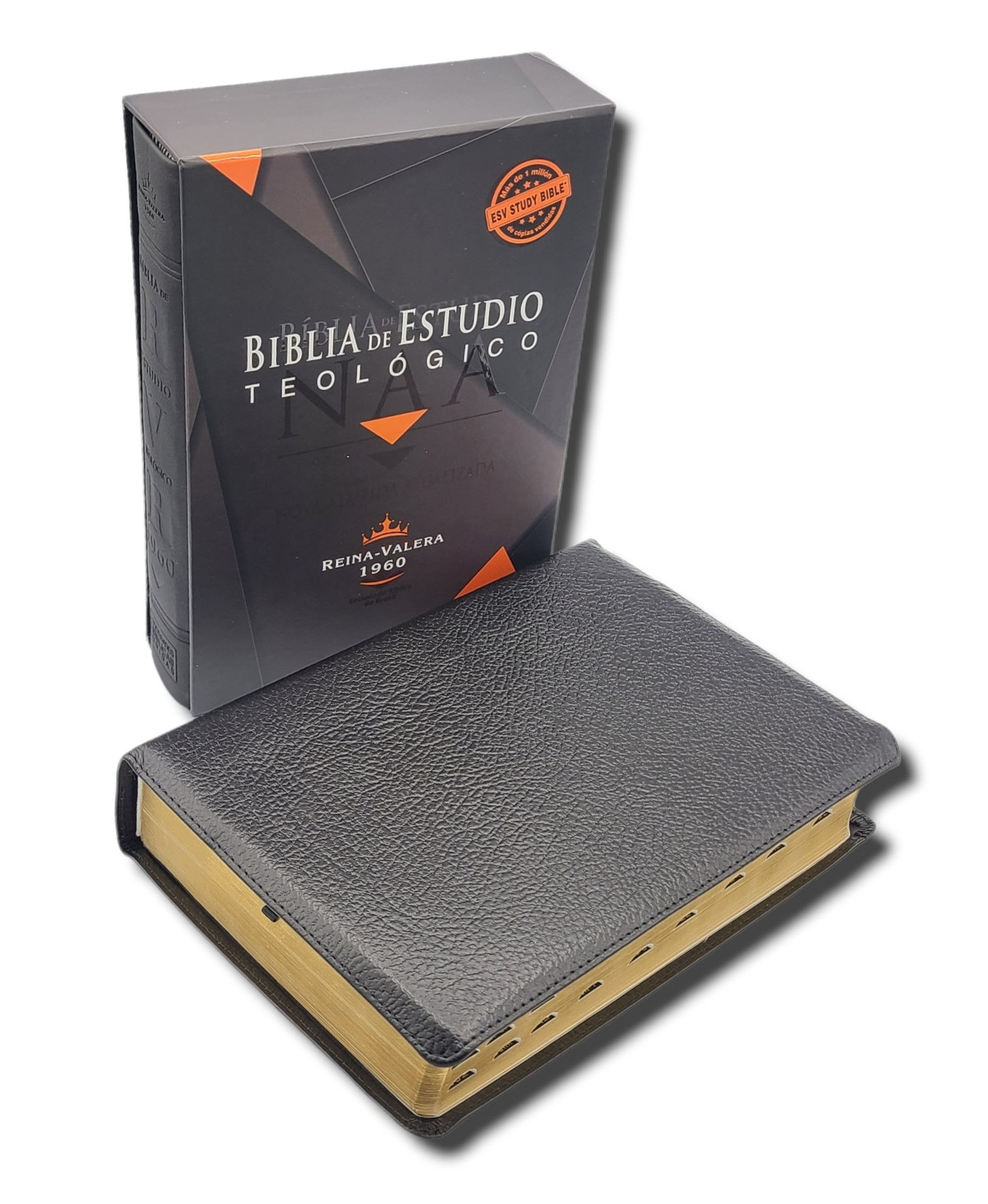 Biblia De Estudio Teologico Reina Valera 1960 Piel Genuina Negro