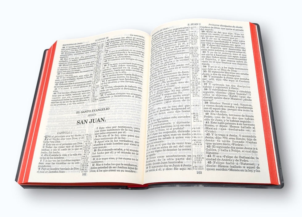 Thumbnail: Biblia Letra Grande Antigua Version 1602 Ultrafina Vinil Rojo