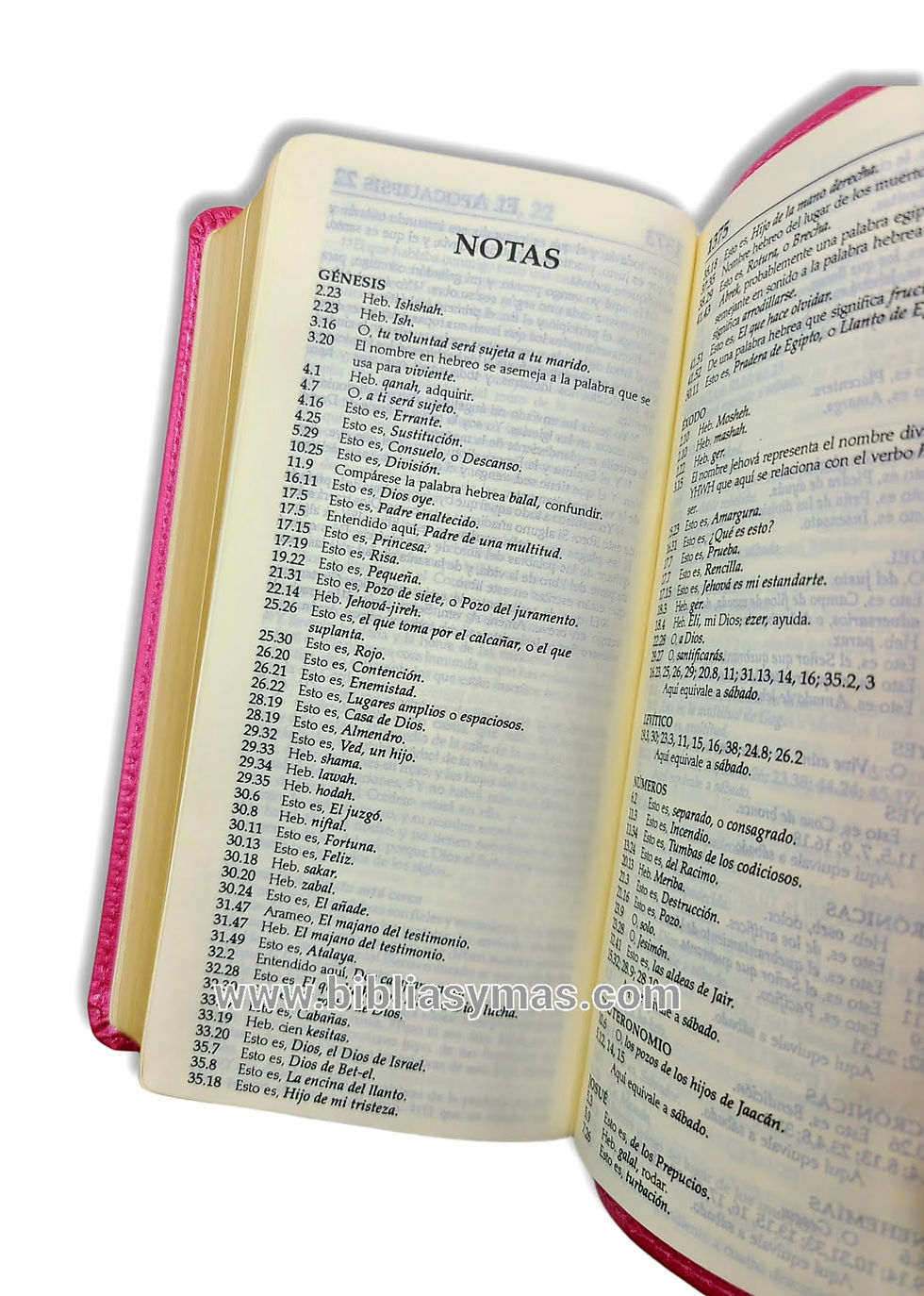 Thumbnail: Biblia RVR1960 Tamaño Chequera Fucsia con Broche