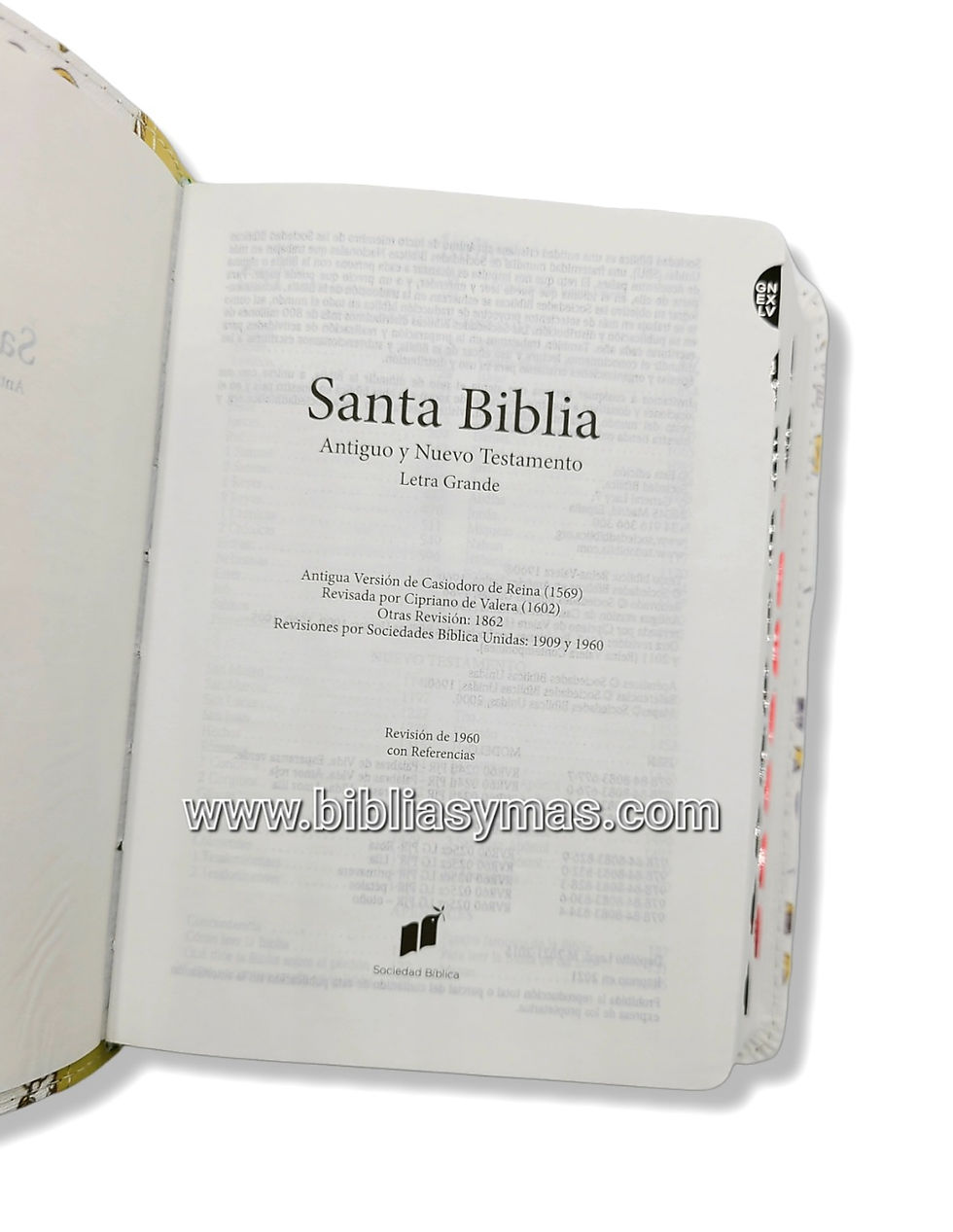 Thumbnail: Biblia 1960 de Bolsillo Letra Mediana Tela Palabras de Vida con Indices